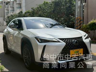 車況漂亮，旅遊小休旅車款