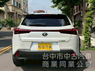 車況漂亮，旅遊小休旅車款