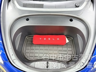 2021年 Tesla Model 3 LR FSD 可全貸