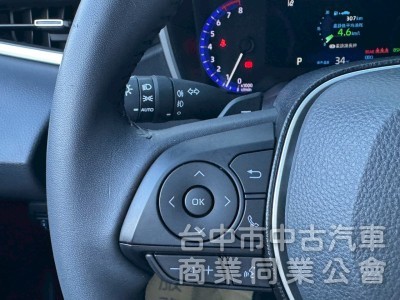2019 Auris 旗艦