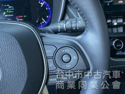 2019 Auris 旗艦