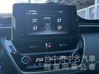 2019 Auris 旗艦