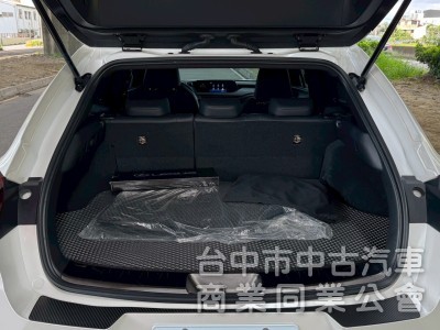 2019 UX200 跑四萬多公里
