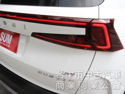 正23年領牌CUSTIN GLT-B VIP 全景天窗 四座通風加熱座椅 電動尾門 雙電動滑門 後座電動椅 ACC 盲點
