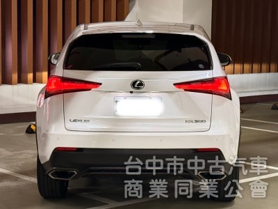 2019．Lexus．Nx300．白色