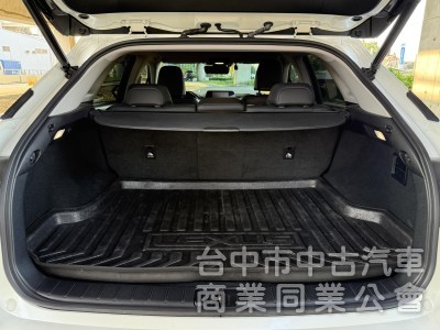 2021 Lexus RX300 豪華版