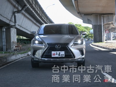 2020 LEXUS NX200豪華版