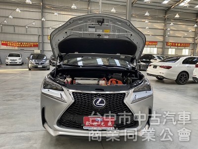 LEXUS(凌志) NX300H F Sport版 低里程