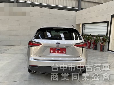 LEXUS(凌志) NX300H F Sport版 低里程