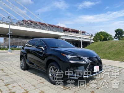 2019 NX200 菁英PLUS ACC自動跟車 車道偏離 盲點 全套摸門上解鎖 電動尾門