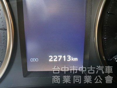 2019式 市場超低里程 僅跑2萬！新車車況 300匹大馬力 頭等艙尊榮Ottoman座椅