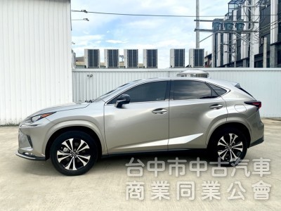 2020 NX200 菁英PLUS運動版 低里程 全速域自動跟車 車道維持置中 雙前電動椅 電尾門