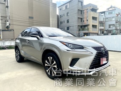 2020 NX200 菁英PLUS運動版 低里程 全速域自動跟車 車道維持置中 雙前電動椅 電尾門