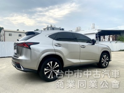 2020 NX200 菁英PLUS運動版 低里程 全速域自動跟車 車道維持置中 雙前電動椅 電尾門