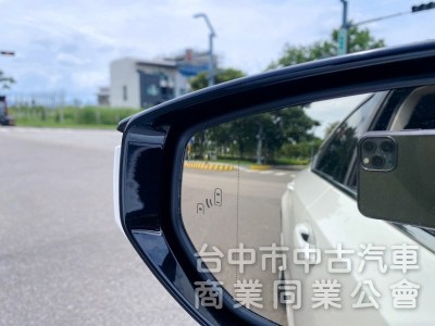 2020式 ES300h 旗艦版 全新第七代大改款 全速域自動跟車 車道維持置中 MK音響 360環景 抬頭顯示