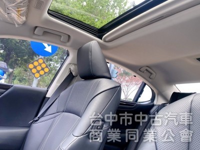 2020式 ES300h 旗艦版 全新第七代大改款 全速域自動跟車 車道維持置中 MK音響 360環景 抬頭顯示