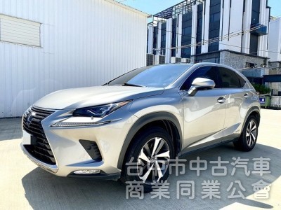 2020 NX300H 旗艦版 全新小改款 三眼式LED頭燈 全景天窗 冷熱通風座椅 CarPlay