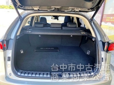 2020 NX300H 旗艦版 全新小改款 三眼式LED頭燈 全景天窗 冷熱通風座椅 CarPlay