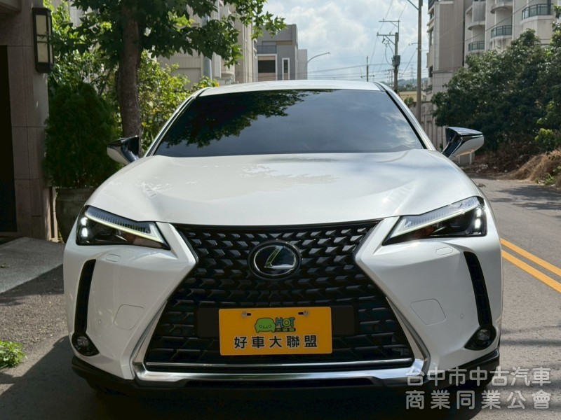 車況漂亮，旅遊小休旅車款