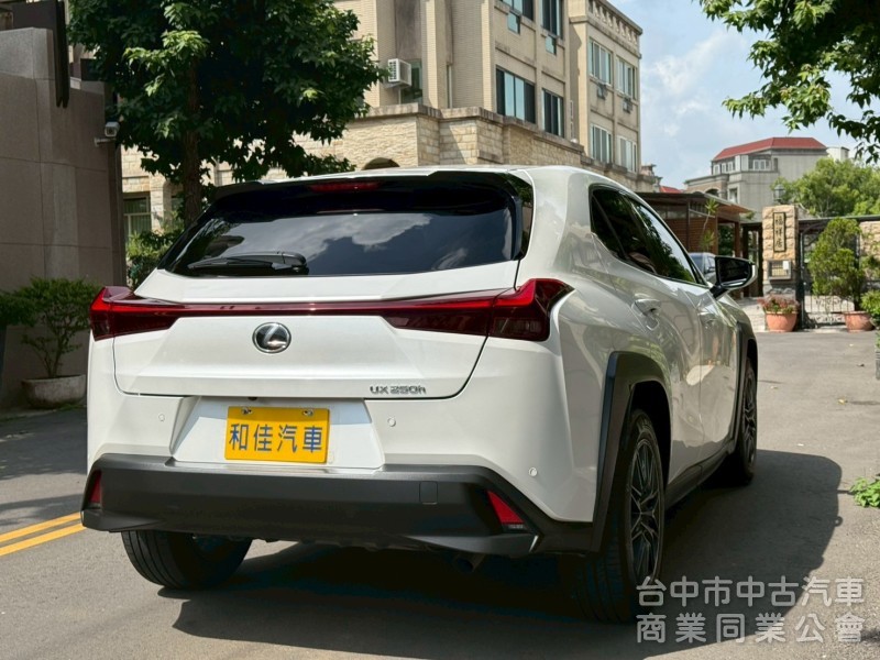 車況漂亮，旅遊小休旅車款