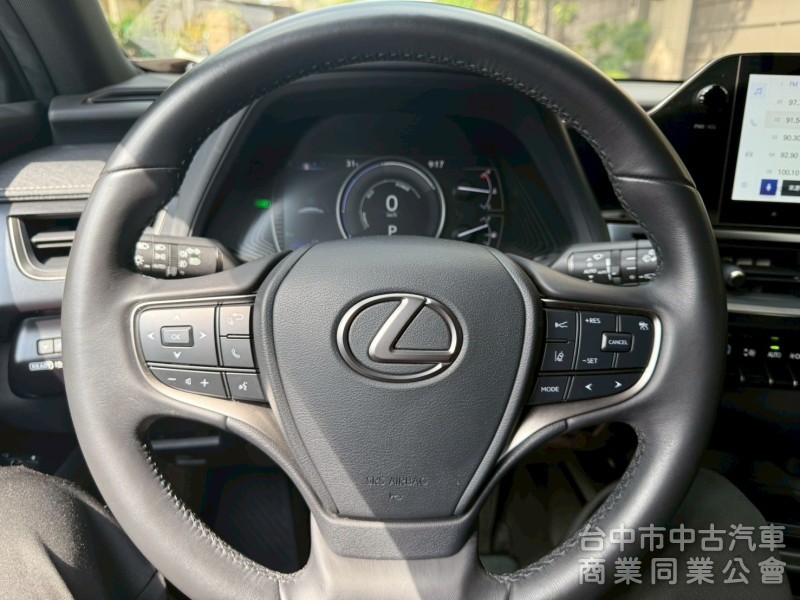 車況漂亮，旅遊小休旅車款