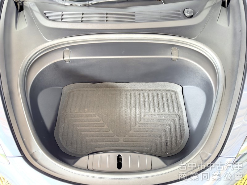 2020年 TESLA Model 3 LR EAP 可全貸