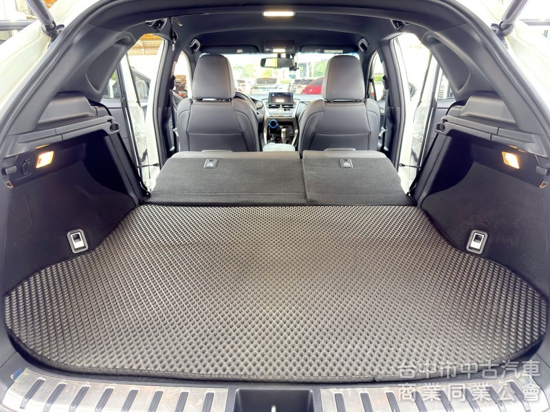 2016年 LEXUS NX200t F-Sport 可全貸