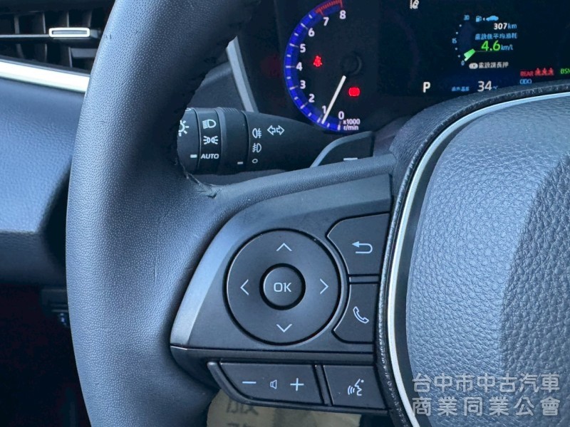 2019 Auris 旗艦