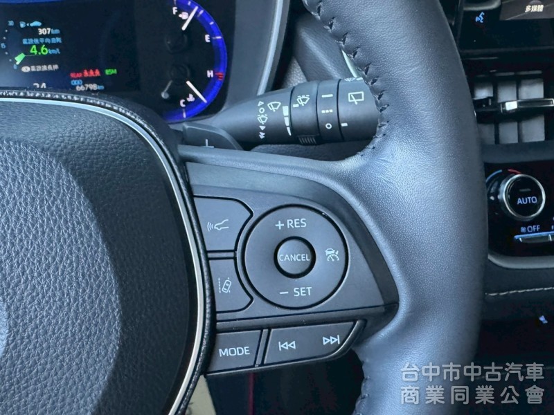 2019 Auris 旗艦