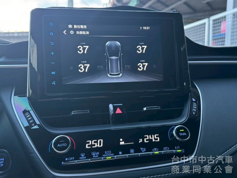 2019 Auris 旗艦