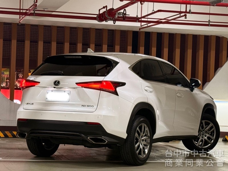 2019．Lexus．Nx300．白色