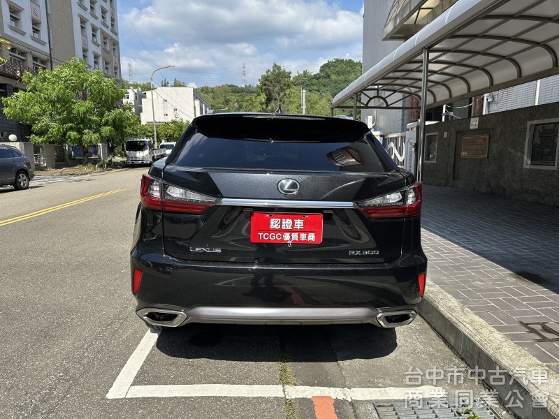 2018 LEXUS RX300 旗艦版 全原廠保養