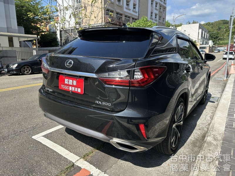 2018 LEXUS RX300 旗艦版 全原廠保養