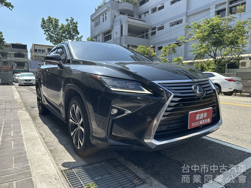 2018 LEXUS RX300 旗艦版 全原廠保養