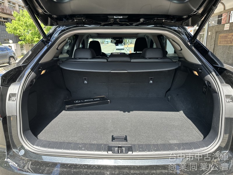 2018 LEXUS RX300 旗艦版 全原廠保養