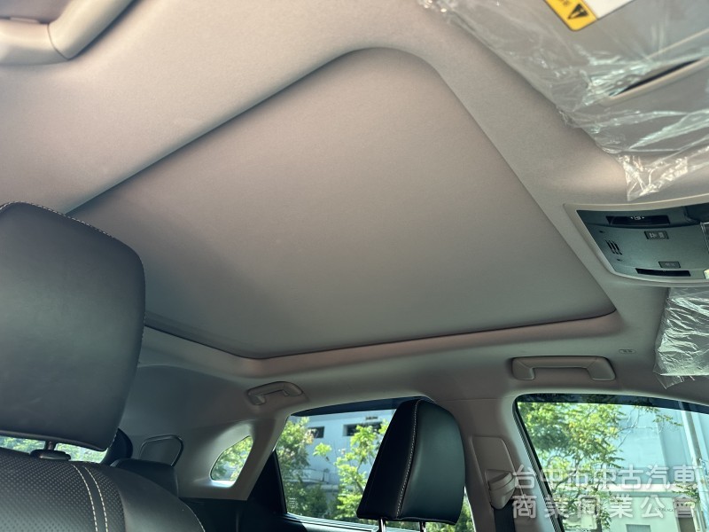 2018 LEXUS RX300 旗艦版 全原廠保養