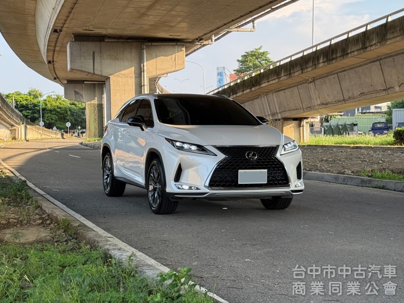2021 Lexus RX300 豪華版