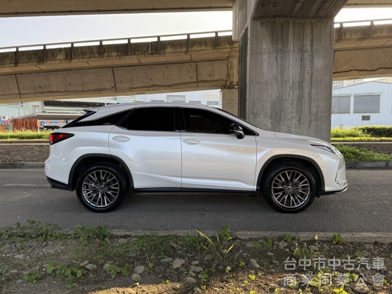 2021 Lexus RX300 豪華版
