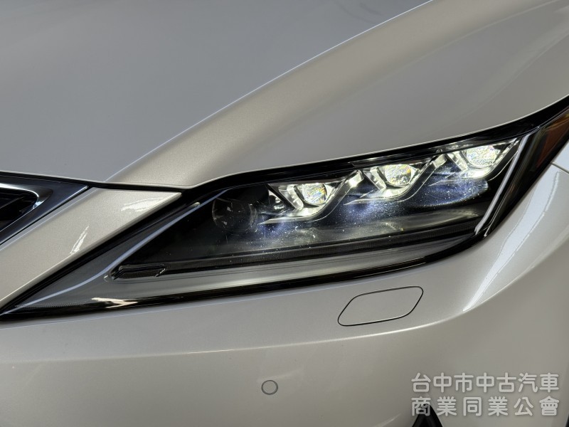 2021 Lexus RX300 豪華版