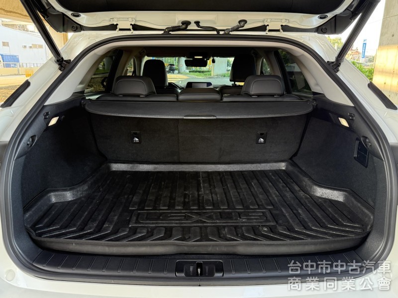 2021 Lexus RX300 豪華版