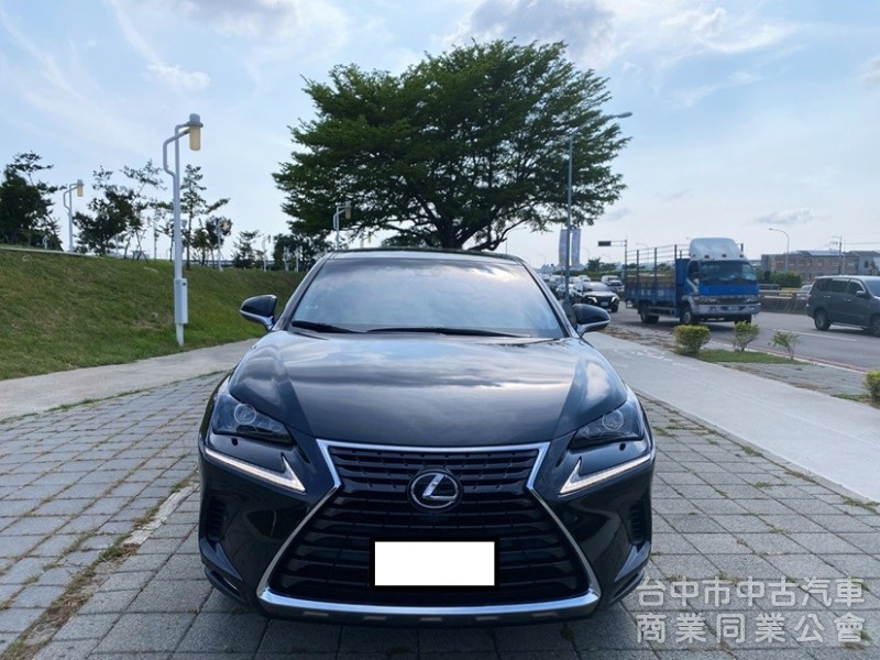 2019 NX200 菁英PLUS ACC自動跟車 車道偏離 盲點 全套摸門上解鎖 電動尾門