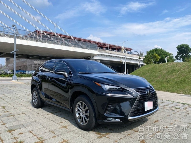 2019 NX200 菁英PLUS ACC自動跟車 車道偏離 盲點 全套摸門上解鎖 電動尾門