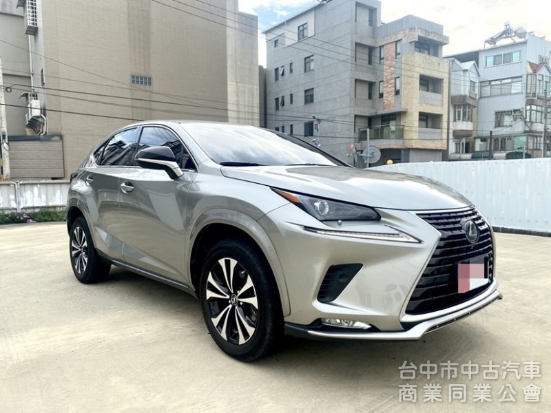 2020 NX200 菁英PLUS運動版 低里程 全速域自動跟車 車道維持置中 雙前電動椅 電尾門