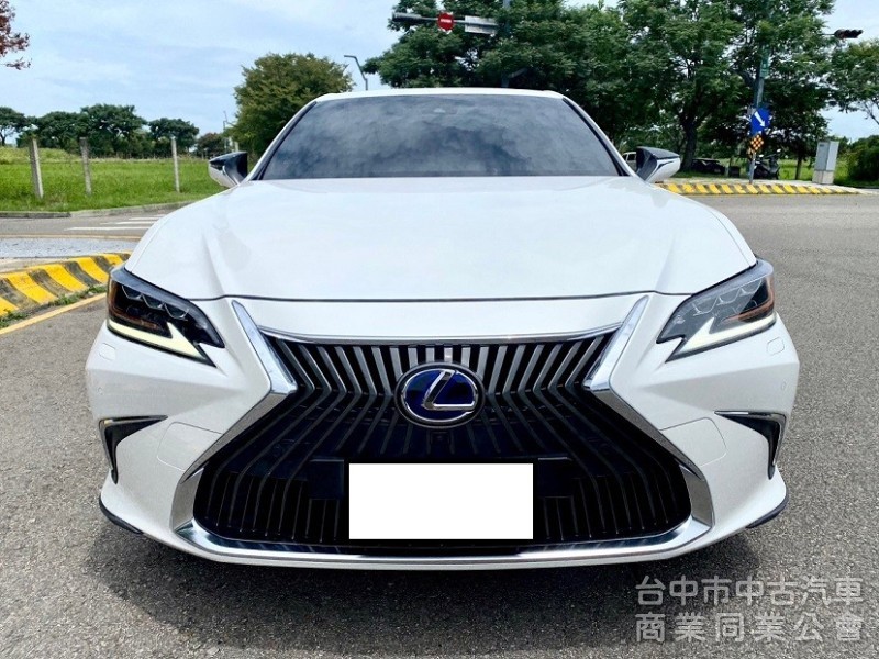 2020式 ES300h 旗艦版 全新第七代大改款 全速域自動跟車 車道維持置中 MK音響 360環景 抬頭顯示