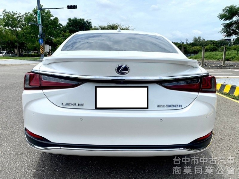 2020式 ES300h 旗艦版 全新第七代大改款 全速域自動跟車 車道維持置中 MK音響 360環景 抬頭顯示