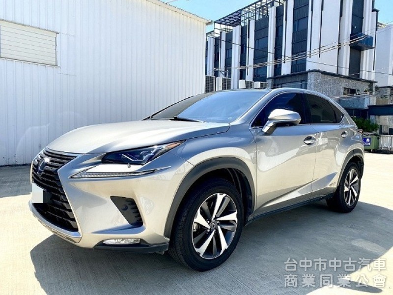 2020 NX300H 旗艦版 全新小改款 三眼式LED頭燈 全景天窗 冷熱通風座椅 CarPlay