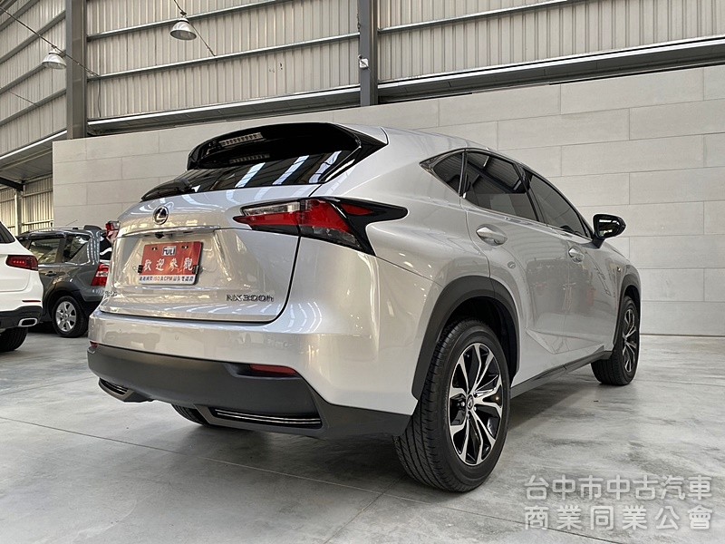 LEXUS(凌志) NX300H F Sport版 低里程