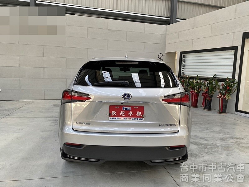 LEXUS(凌志) NX300H F Sport版 低里程